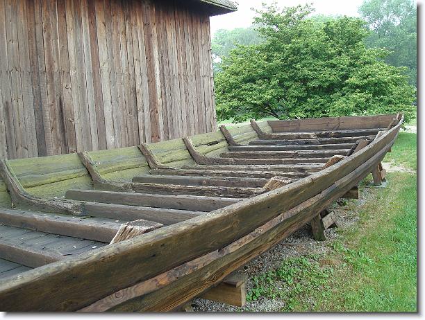 Nast\u0119pne zdj\u0119cie